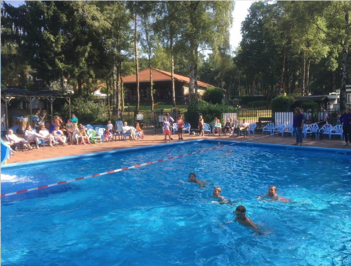 Chalet Kunstenaars Boshuisje Veluwe