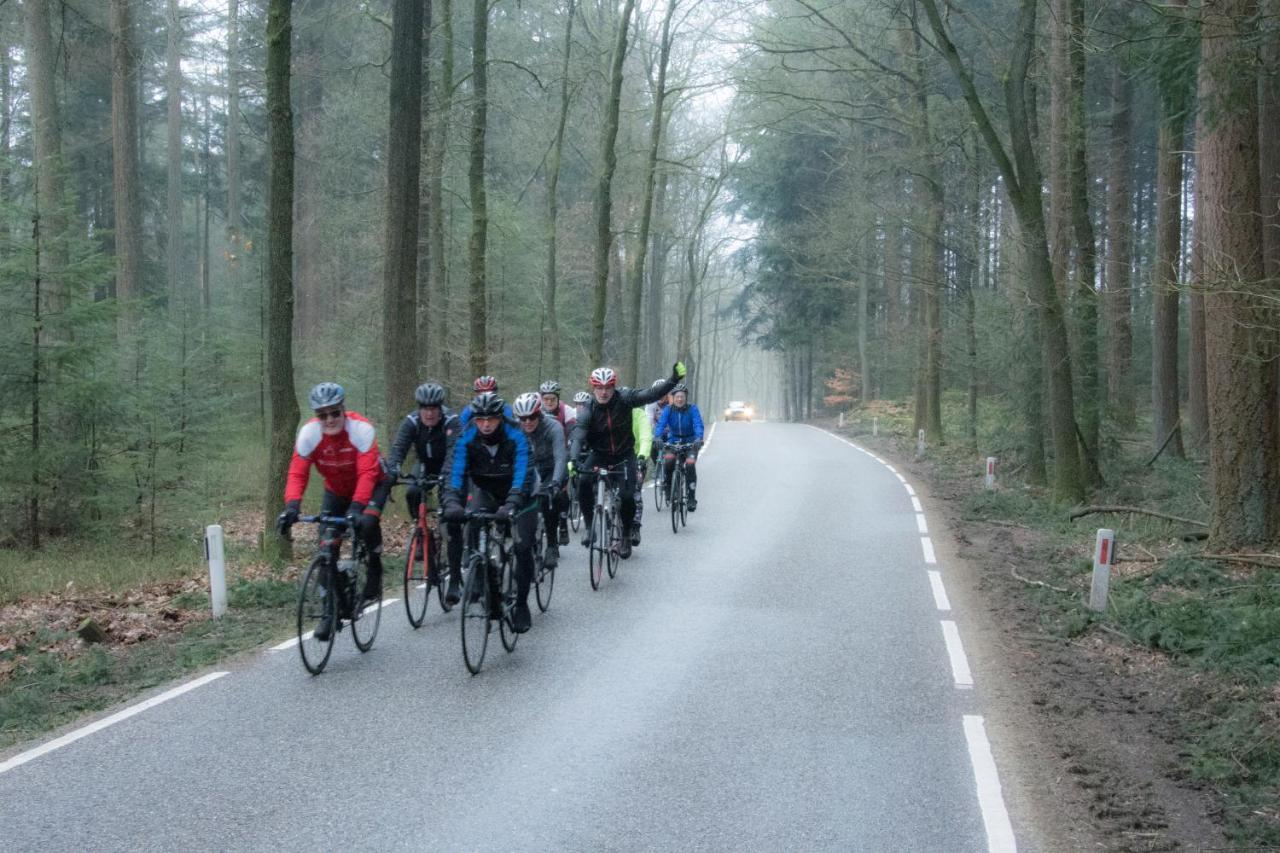 Kunstenaars Boshuisje Veluwe Chalet Hoenderloo