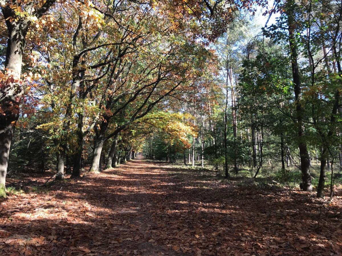 Kunstenaars Boshuisje Veluwe Hoenderloo