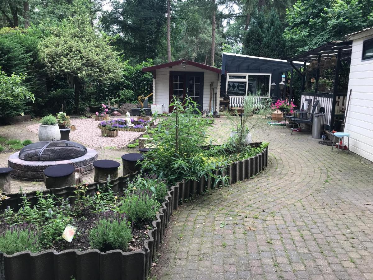 Kunstenaars Boshuisje Veluwe Chalet *