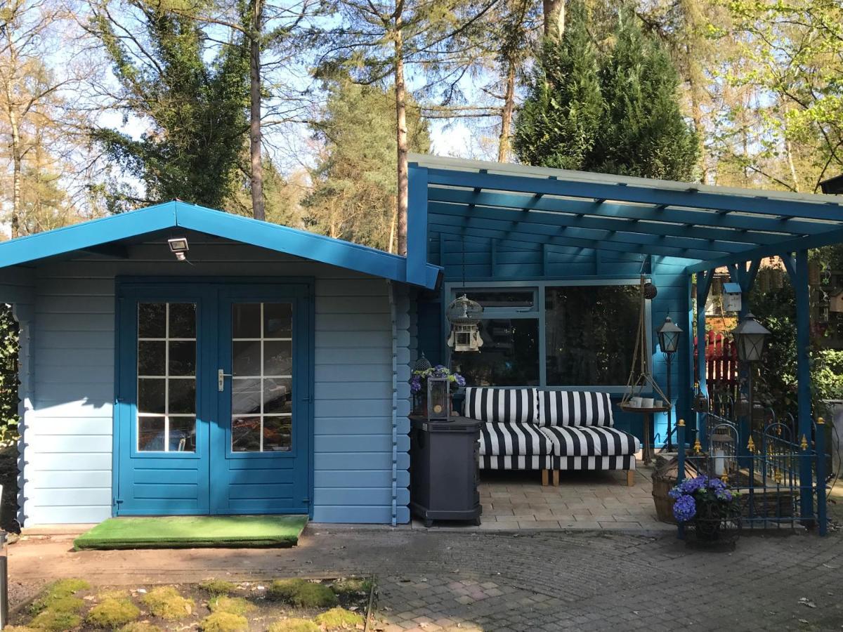 Kunstenaars Boshuisje Veluwe Chalet