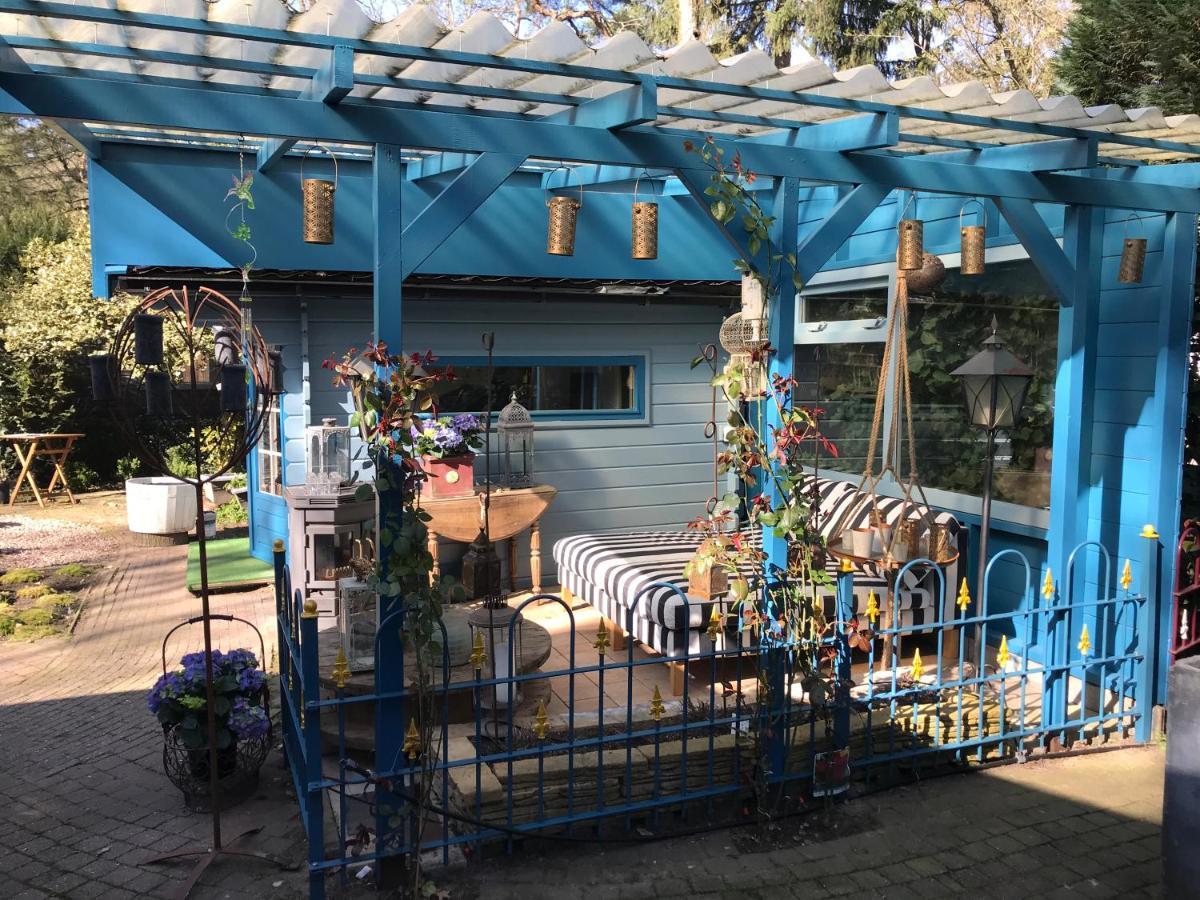 Chalet Kunstenaars Boshuisje Veluwe Hoenderloo