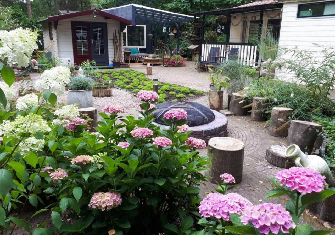 Chalet Kunstenaars Boshuisje Veluwe Hoenderloo